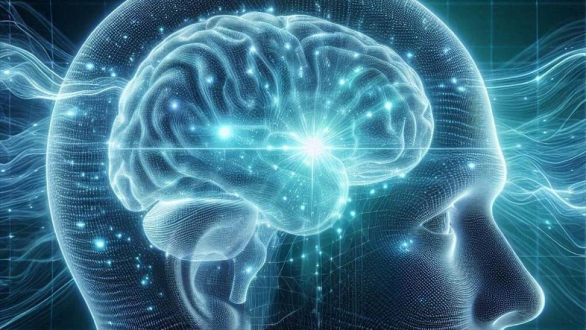 Yeni detaylı beyin haritasıyla kelimelerin anlamlarını belirleyen nöronlar bulundu