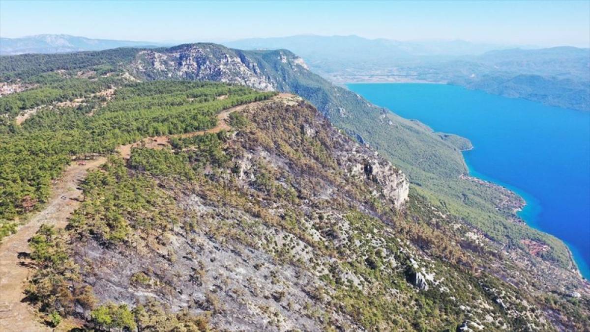 Menteşe'de ormancılar 6 kilometre 