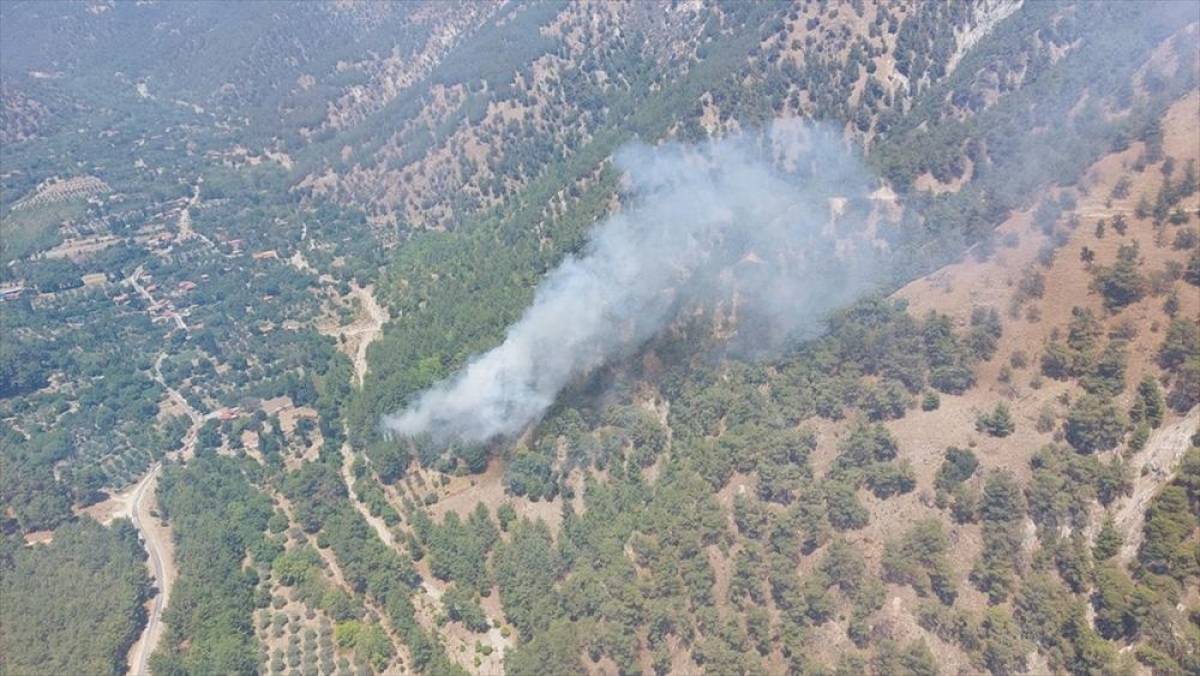 Aydın'da tarım arazisinden ormana sıçrayan yangın kontrol altına alındı