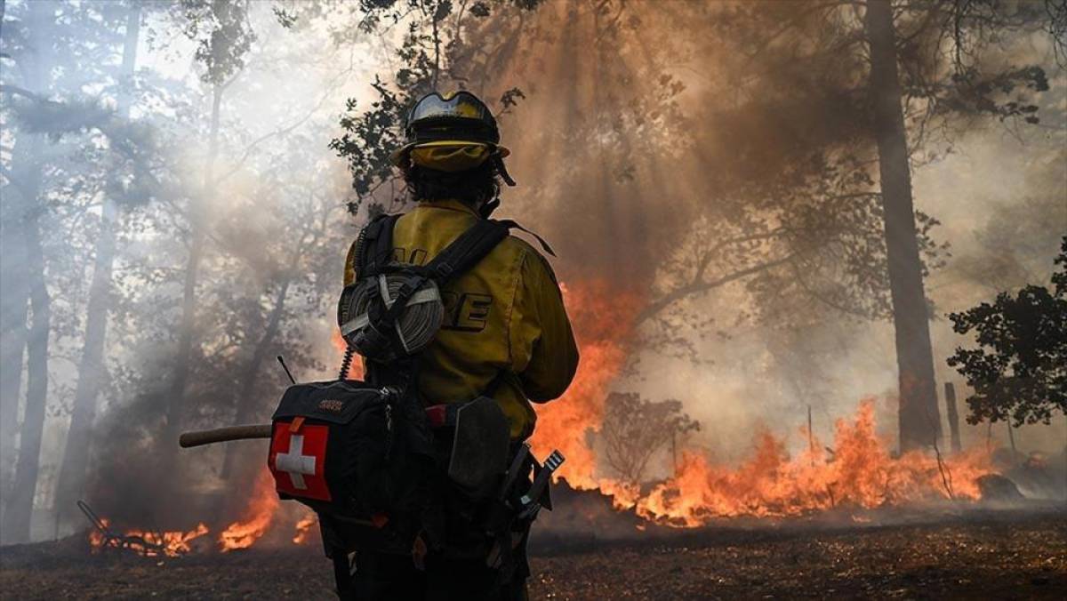 ABD'de 94 farklı bölgede çıkan orman yangınları sürüyor