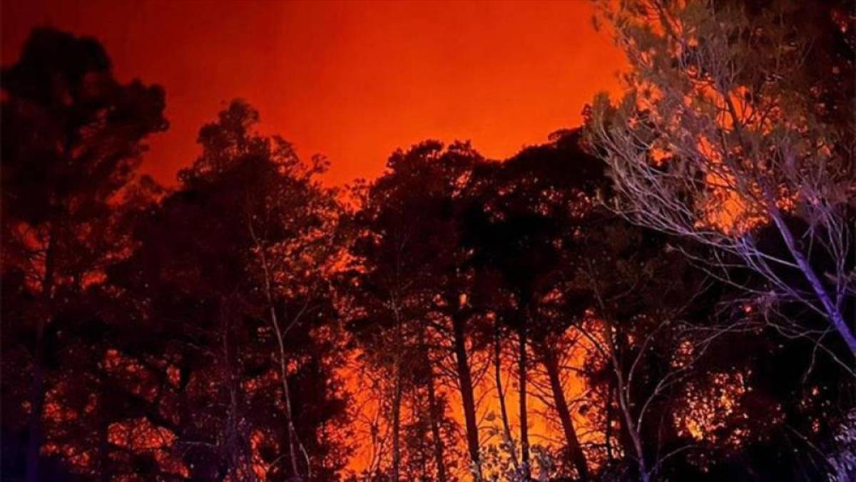 Hırvatistan'da 3 bölgede çıkan orman yangınlarının büyük kısmı kontrol altına alındı