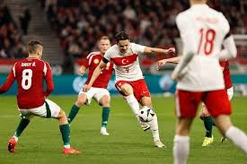 Türkiye - Avusturya maçı Hollanda medyasında